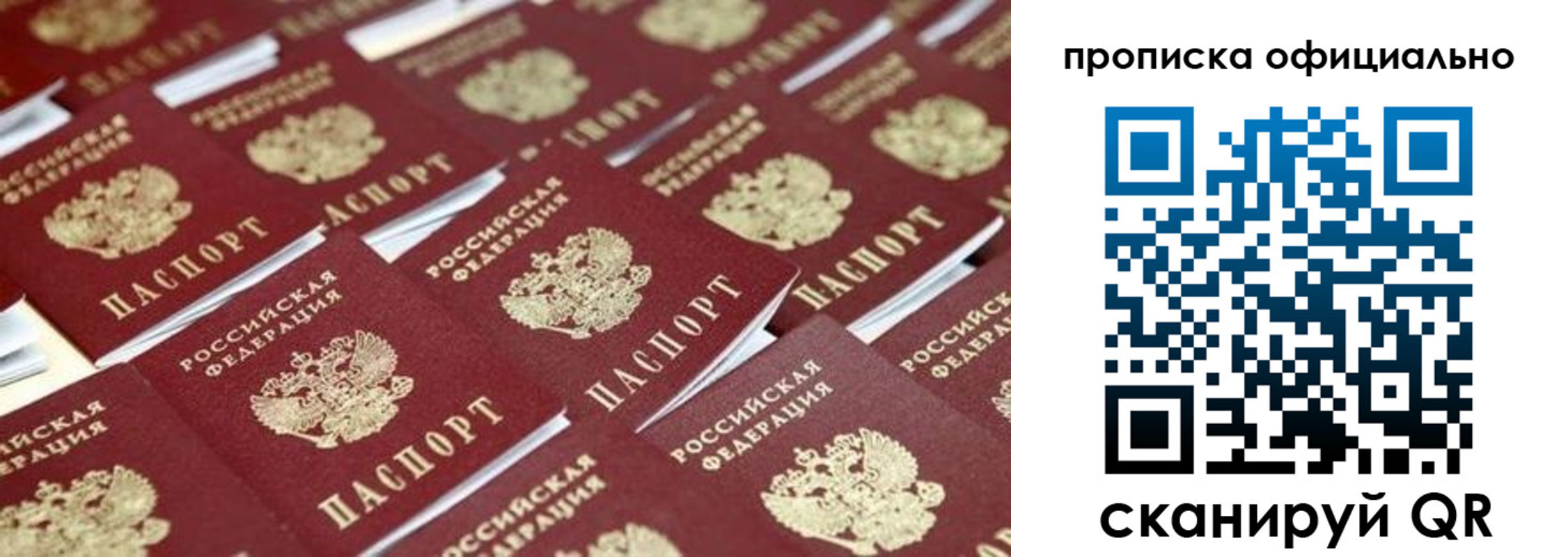 прописка гарантия в Камызяке
